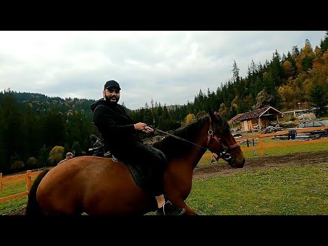 An epic horseride and a fun bobsled | borsec romania