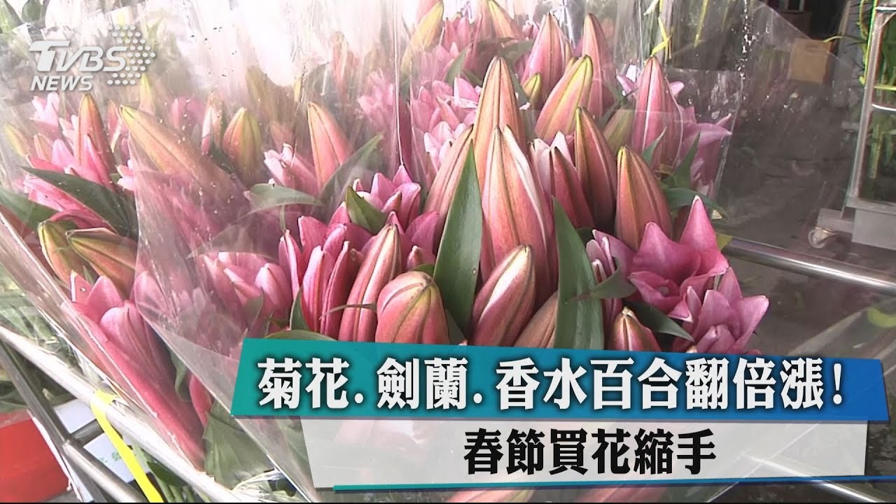 菊花、劍蘭、香水百合翻倍漲! 春節買花縮手