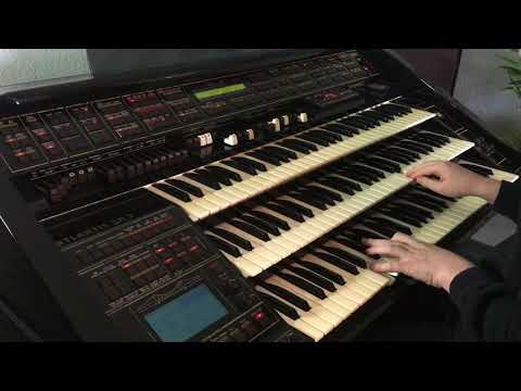 Watermelon Sugar - Harry Styles Cover / Florian Hutter - Wersi Atlantis SN3