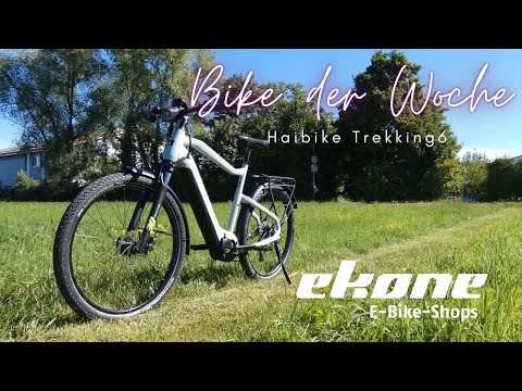 ekone E-Bike-Shops | Bike der Woche: Haibike Trekking 6