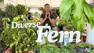 Fern Competition | Suan Luang Rama IX Flora Festival 2025 🇹🇭 Ep. 6