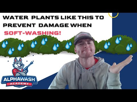 YouTube video about: How to protect plants from power washing?