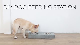 DIY Concrete Dog Feeding Station