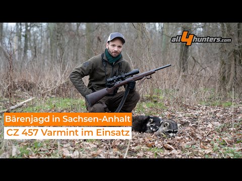 ceska-zbrojovka: Praxistest mit Video: Auf Kleinbärenjagd mit der KK-Repetierbüchse CZ 457 Varmint im Revier