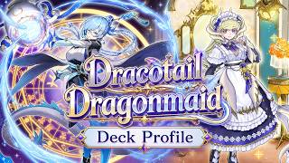 Dracotail Dragonmaid Deck Profile May 2026