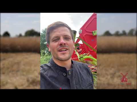 Mähdrescher - Wie der Champagner-Roggen geerntet wird