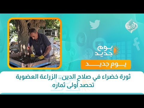 فيديو | ثورة خضراء في صلاح الدين.. الزراعة العضوية تحصد أولى ثماره