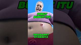 Download lagu A pot belly can stop a bullet mp3 Download lagu A pot belly can stop a bullet mp3