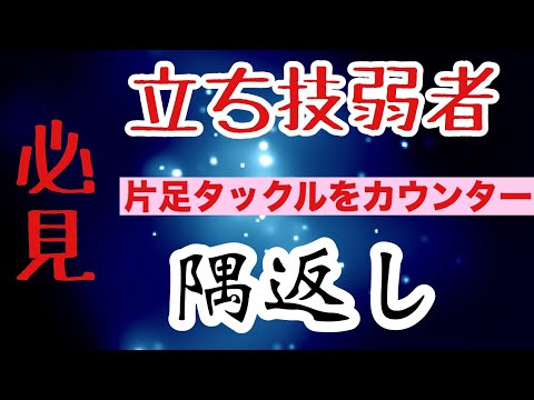 【しんすけ先生】立ち技弱者必見！片足タックルを隅返しでカウンター