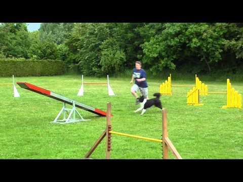 Agilitytraining 12. 06. 2013