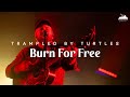 WinterWonderGrass Live: Trampled By Turtles "Burn For Free" Steamboat 2025