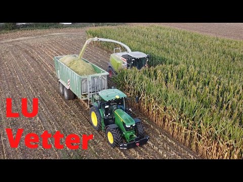 Mais häckseln (Claas Jaguar 950/Fendt 828/John Deere 6R) mit dem Lohnunternehmen Vetter