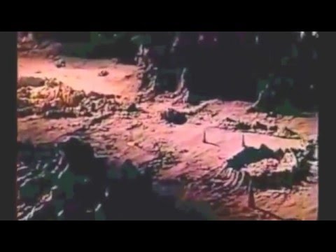 Prozak Morris- Warm Bodies (Video)