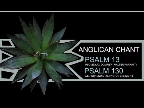 Anglican Chant: Psalms 13 & 130 (Parratt, Stewart) The Choir of St  John's Church in Savannah 3-1-20