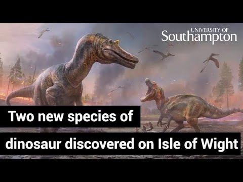 Two new species of dinosaur discovered on Isle of Wight