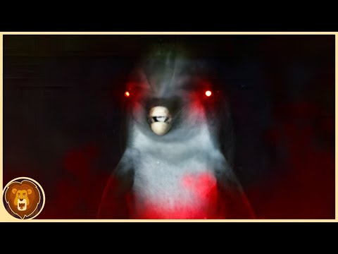 The Evil Side of Dolphins That Will Disturb You