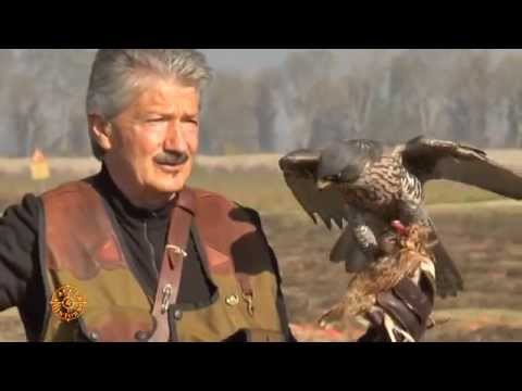 Italian Falconers' Federation - Amedeo Arpa Memorial