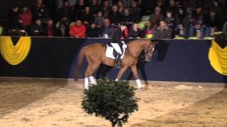 Video of Icare d'Olympe AA