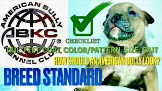 ABKC Breed Standard Pt 3 | What Is An American Bully Correct Conformation, Temperament? #ABKC #dogs