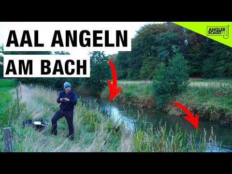 Eel fishing in the stream | catching eels at night on the bottom with worm as bait in the small r...