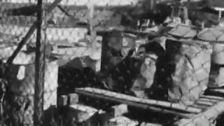 Coil - Careful What You Wish For