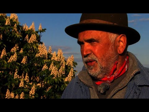 Der Rebell und das Weinwunder. Friedrich Becker und die "5 Freunde". Pfalzgeschichten 4/4