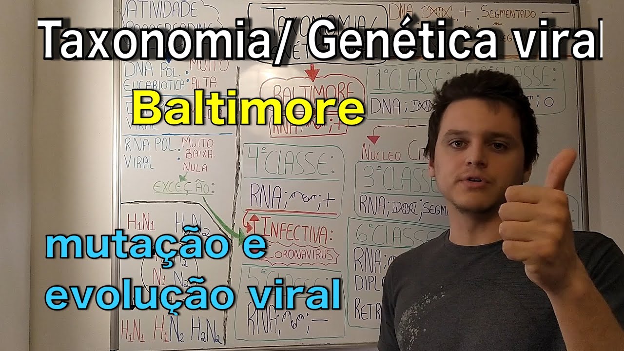 Taxonomia e Genética viral (Classificação de Baltimore)| Curso de Virologia | Medicina passo a passo