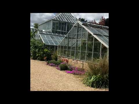 Relaxing walk with beautiful flowers #garden #flowers #joy #peaceful #relaxing