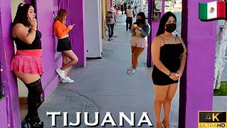 Tijuana Street Walk  From Zona Norte to Centro’s Bustling Vendors  (Part-2)