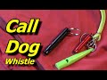 Dog Whistle Sound To Call Dog