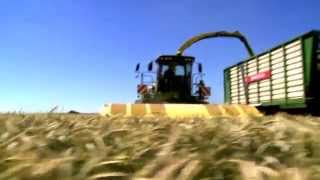 Žitni heder Zürn pryamogo sreza Profi Cut / direct cut header naprodaj - Slika 5 | Agronetto SI Nov žitni heder Zürn pryamogo sreza Profi Cut / direct cut header | Slika 5 - Agronetto