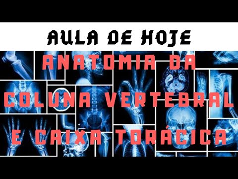 ANATOMIA ÓSSEA DA COLUNA VERTEBRAL E CAIXA TORÁCICA