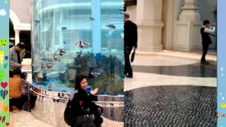 Download lagu Nirwana Band _ Rindu Cintaku Padamu mp3