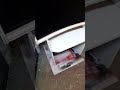 Sim Arcade PC PS5 Build Part 2
