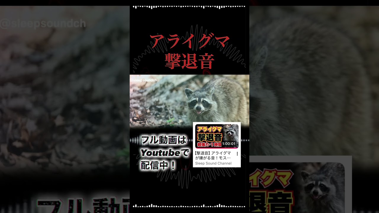 【撃退音】アライグマが嫌がる音！モスキート音で追い払う！【超強力】