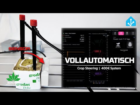 €400 system fully automates plant and watering – Crop Steering with Home Assistant | Part 1