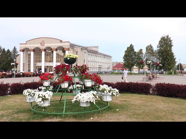 Городские цветы
