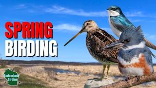 Spring Birding in Wisconsin | New Species Challenge Continues!