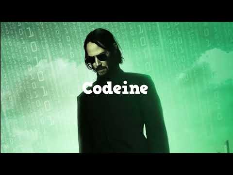 Boris Brejcha - Paul Kalkbrenner - Maceo Plex - Hozho - Other Artists [Mixed By  Codeine Records]