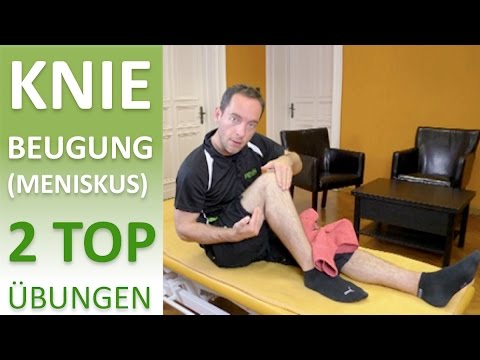 Gemeinsames Foto Pferd Röntgendiagnostik von Knochen- und Gelenkerkrankungen Mikhailov