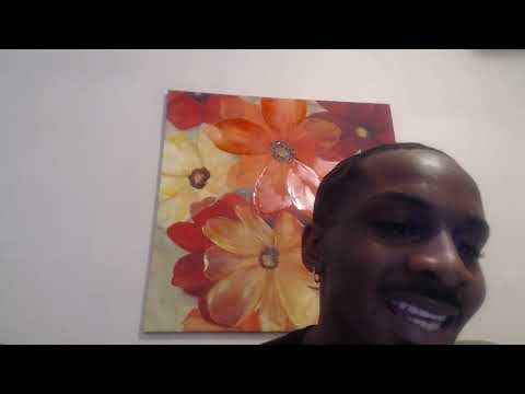 El Pájaro y la Ballena