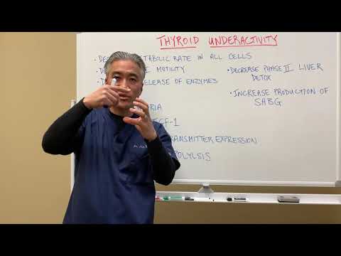 Understanding Thyroid Dysfunction Hashimoto s Part 1 Signs and Symptoms