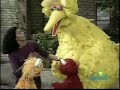 Sesame Street Episode 3799 Scene 2