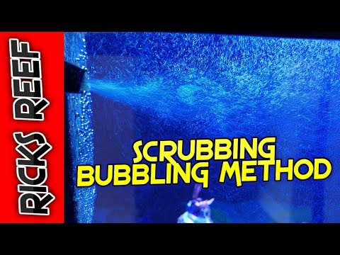 Reef Tank - Bubbling Method - Does it work?