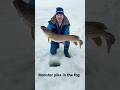 Video Thumbnail for Monster pike in the fog