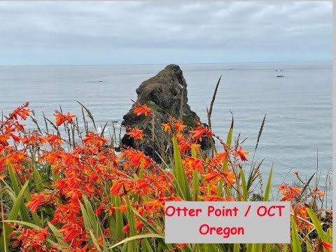 Otter Point and the Oregon Coastal Trail