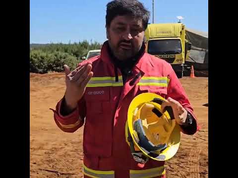 LanalhueNoticiasTV - INCENDIO 'LAJA - PATA DE VACA' EN LOS ÁLAMOS, BIOBÍO