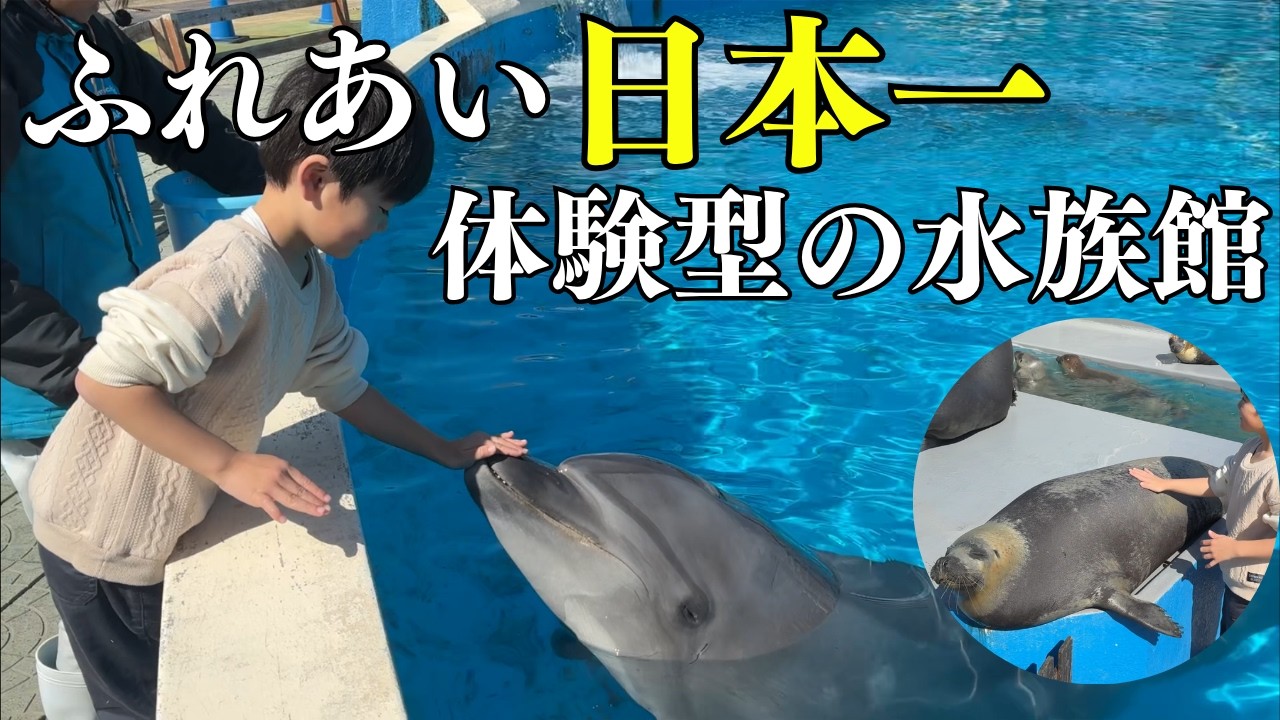 【ふれあい日本一】無料でイルカタッチやアザラシタッチができる水族館 #カップル #水族館 #愛知