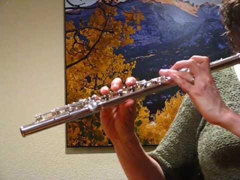 Yamaha 481 Flute (Used) For Sale - High Register