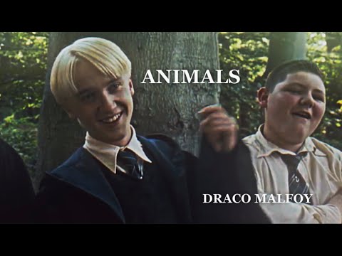 ANIMALS | | DRACO MALFOY